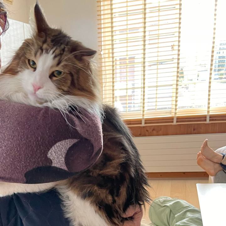 066cf5a0 2741 4f3d b371 f385885558cd 1682152329678