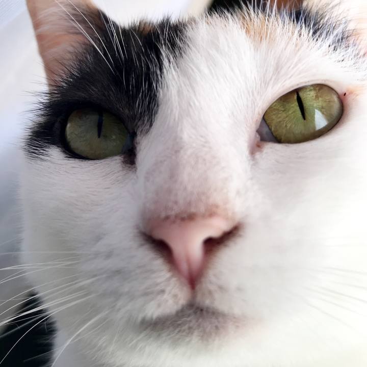 066cfae4 d153 4d47 9a19 0596f0f89a2b 1534860022284