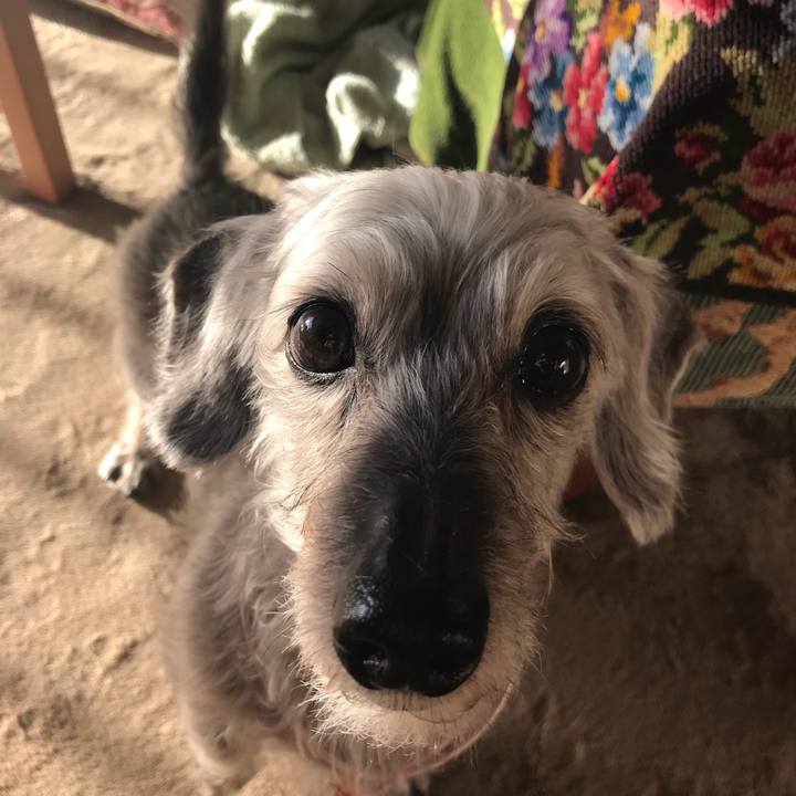 066cff75 c5cf 4ee0 b7b4 7f7c59fba0a3 1515628267552