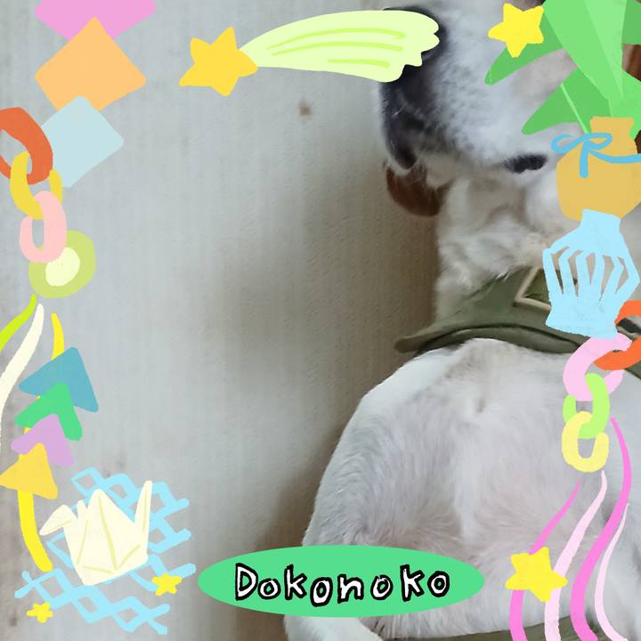 066d011c 2205 4d05 b5b3 d8d04344d5b1 1755349159944