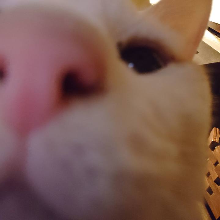 066d0b21 a5c3 4270 83c1 61af2903539e 1675176282665