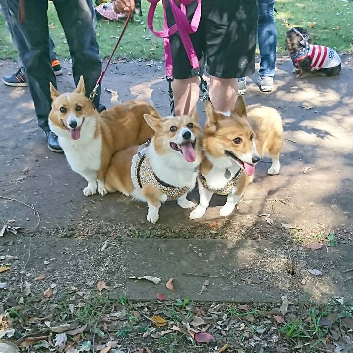 066d2810 c13e 4c9d 911c 48c484dc2eb2 1538899063640