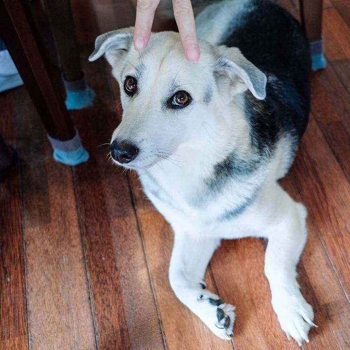 066d4b73 bf6b 4729 b504 805320882856 1545047499996