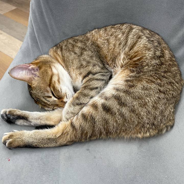 066d6c4f b397 42f8 8e73 b4c3f8ead794 1743415397125