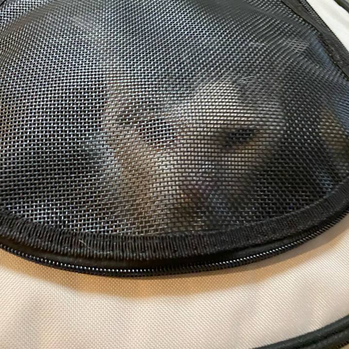 066d7d68 6138 45a5 81d9 23672663ba0e 1766741137430