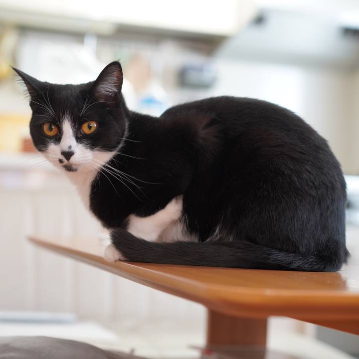 066d84a3 4f1f 4ef1 a2c4 b62da01f2432 1619618737721