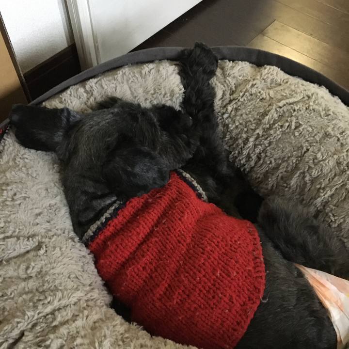 066d9b38 1f27 48af 9689 aa3a2792f56e 1646028322360