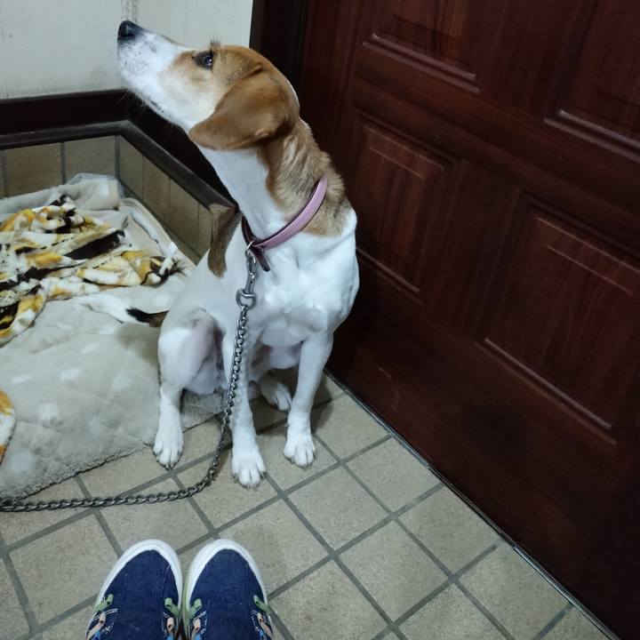 066da6f8 8b07 4345 989b fccf6a2fc137 1577438253829