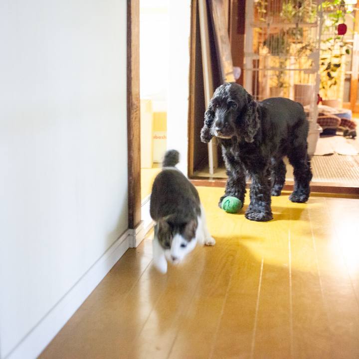 066dae11 bb5b 4778 bb11 0ca07579c297 1570985298502