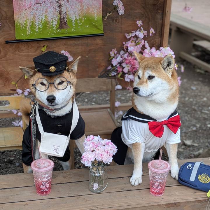 066db3aa 7802 47d8 9ac6 e3c053b82894 1741588919308