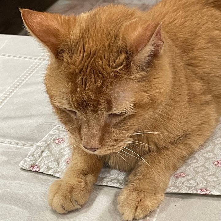 066dde02 0fe6 4c23 a28c ff9194453ced 1769478421805