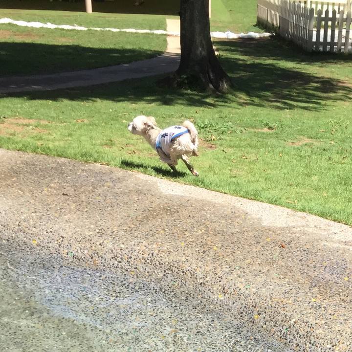 066ddf4d 208e 4c12 9276 e8028e1727dc 1534501385450