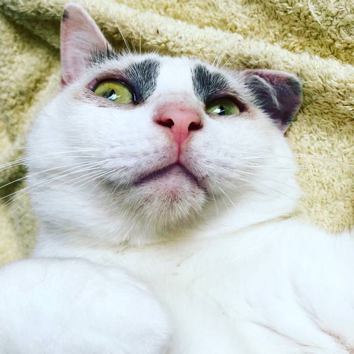 066de077 ac95 4877 83a4 f4d396cf0df1 1536883930460