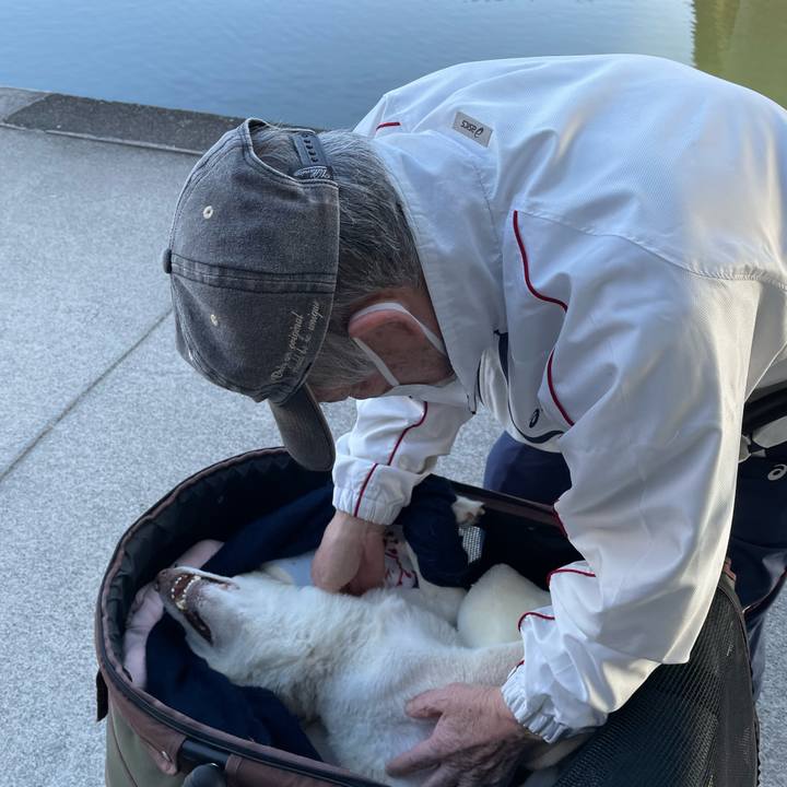 066e20bb 689d 45d1 b1ef 81421940d978 1677581272069