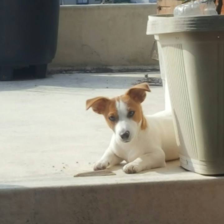 066e4074 1541 4868 9812 6b1d4b0f2c2d 1555802761675