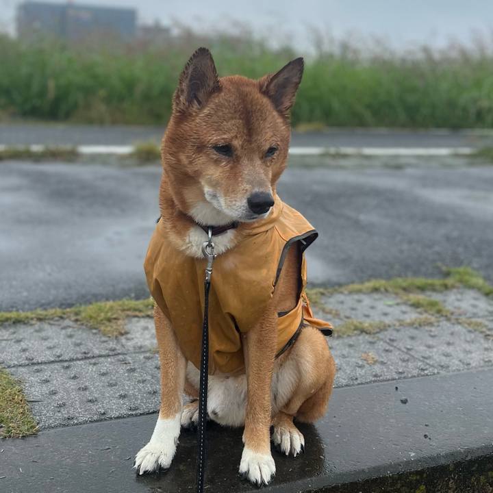 066e5b3d 6f63 45fa bdaa ab0cf5936b77 1697350706245