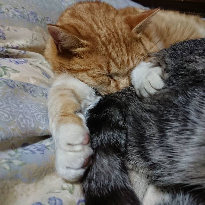 066e6c10 dab1 43c7 ae7c 27dc759757c5 1578747816223