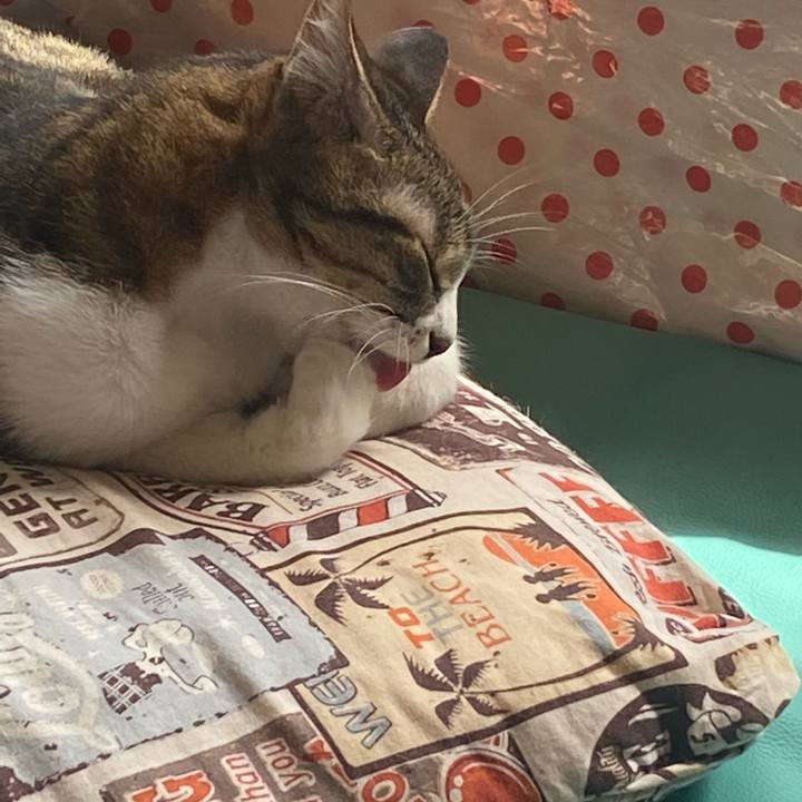 066ed96b 12d9 41ae 8864 aad57ce9c7fd 1617458567171