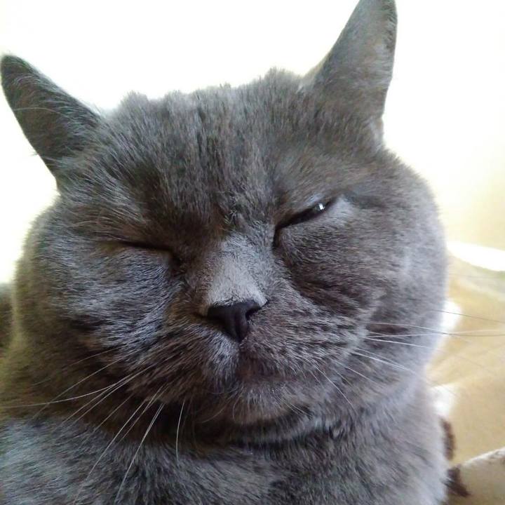 066f0711 ae2d 4d8b 9cbc 2f7eef60f3e2 1586604753370