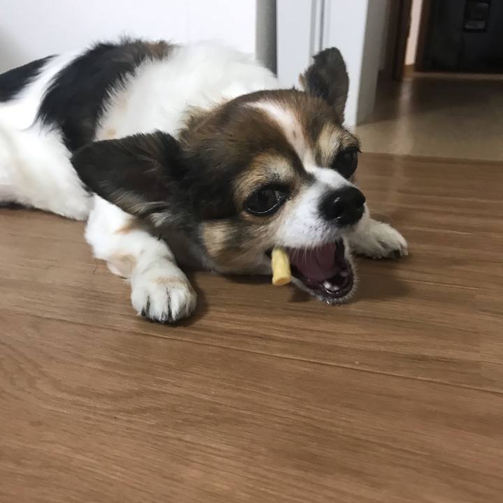 066f1ba6 3e2a 4181 ba1d bdf07ebfb37c 1655177313179