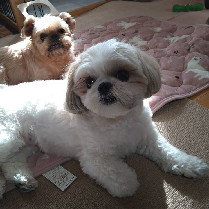 066f2c6d ebf7 41aa 8ede ff1a47729fdc 1635396395618