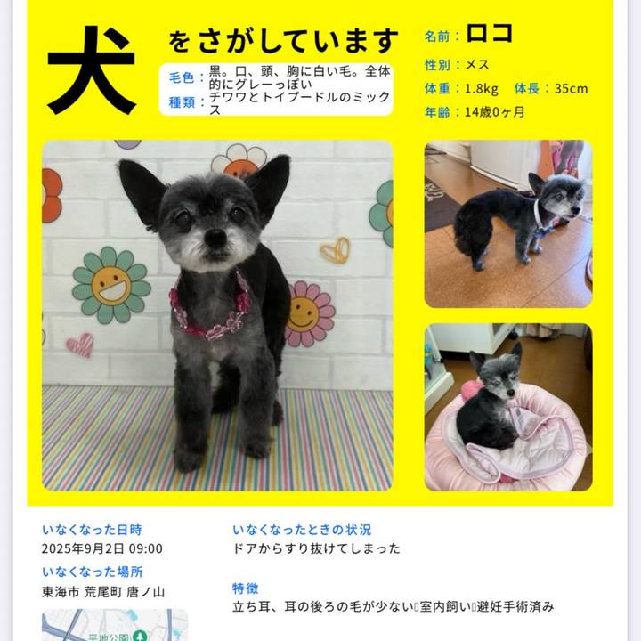 066f4390 368b 4f1a add6 d2c87c2e9176 1757682533896