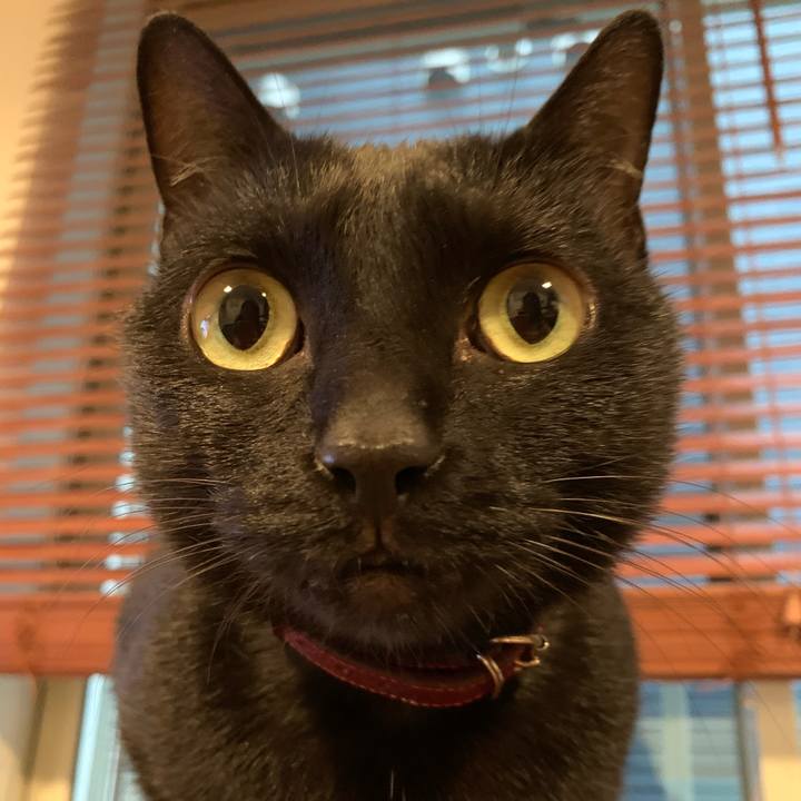 066f7d06 6895 415c 8ead ed45d791796e 1571182325370