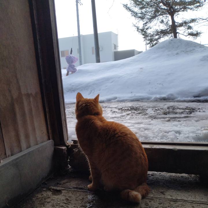 066f8c0c a3ee 46a5 b813 3bb04e04491b 1673574469383