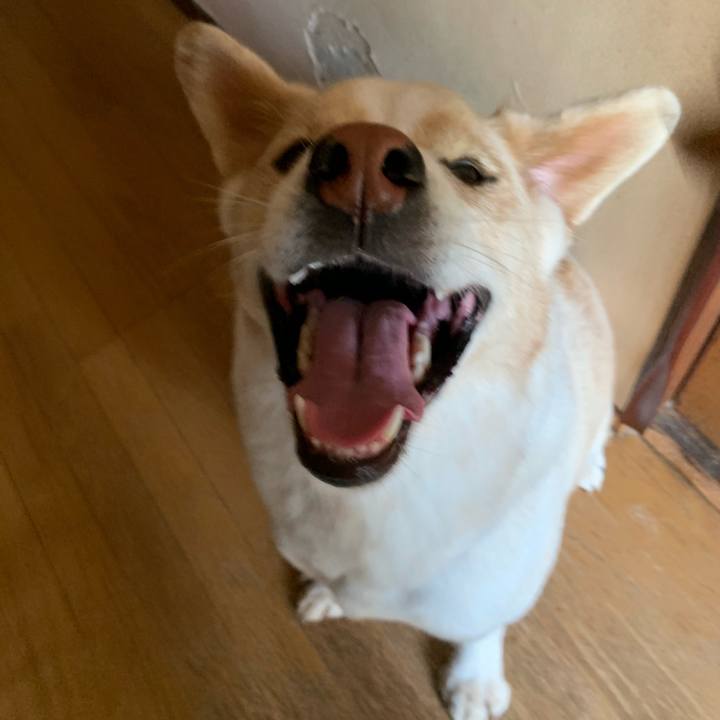 066fae6f 6d1a 443b 8a84 51c814c0ec7d 1564791846014