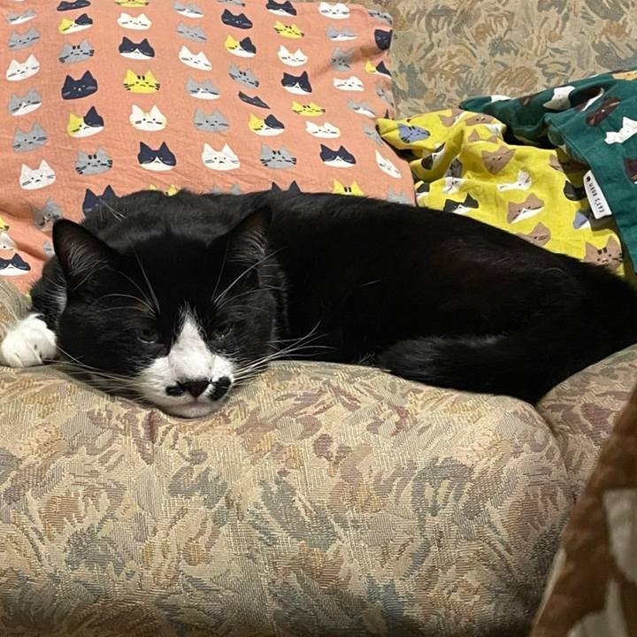 066fb383 cb1a 4eb9 ba7d 00fe25b97314 1650891746171