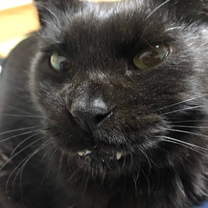 066ff0d4 c39f 45fa 8200 a648ebcc21e8 1633440191183