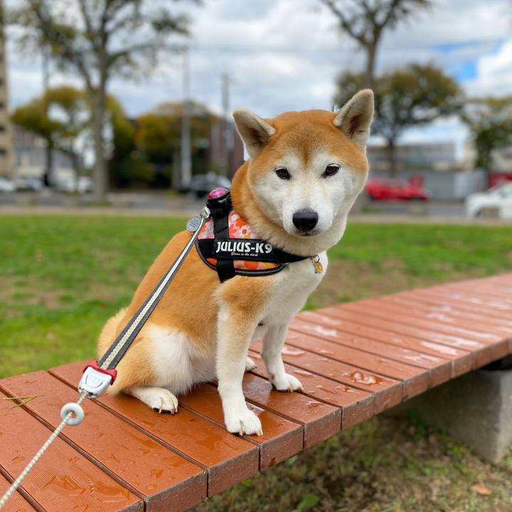 06701387 9bfc 419f b227 1bde4abd36d4 1633487036921