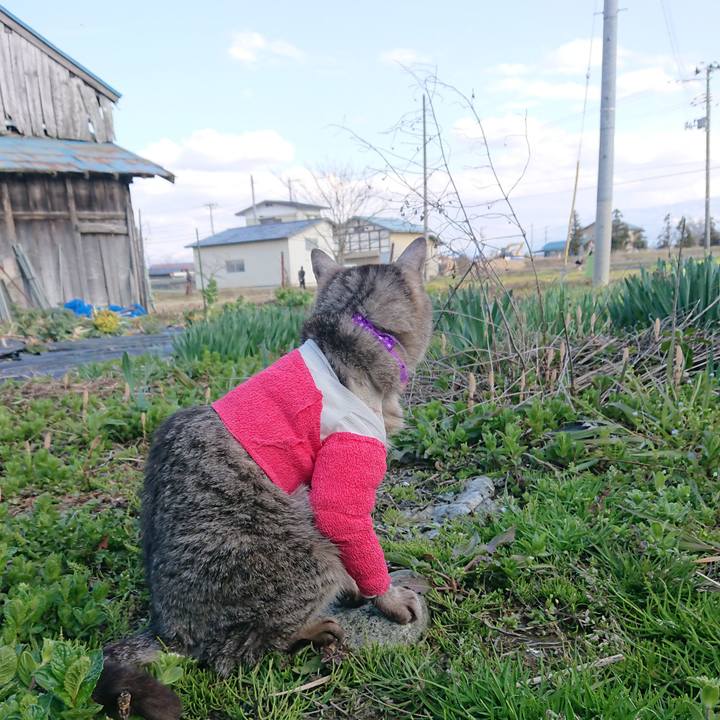 067013de 104d 4af5 8f60 70d0973ac5d2 1586672511502