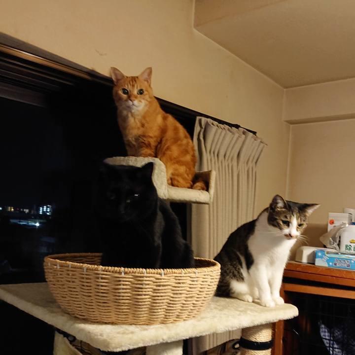 0670209a 821c 40ef a049 1dbc15c4d958 1602766877661