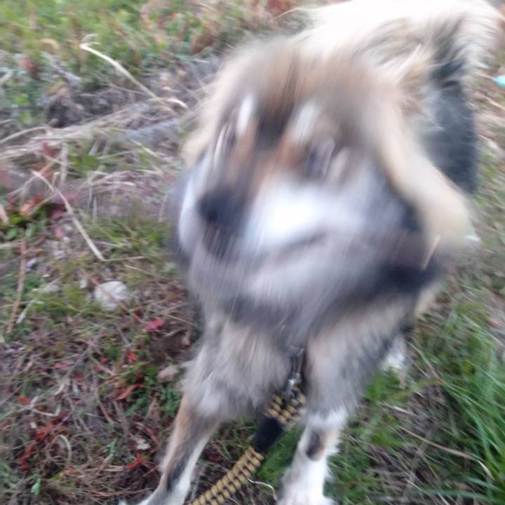 06702b44 502e 482e 8a76 d8e7aa253116 1586360221177