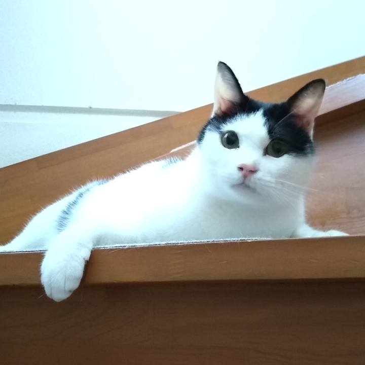 06703977 fd64 4228 b376 dffd061056e9 1556583631793