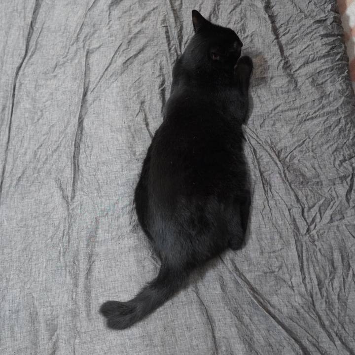 06703e60 18a0 429e a311 d7b55380db76 1593954681341