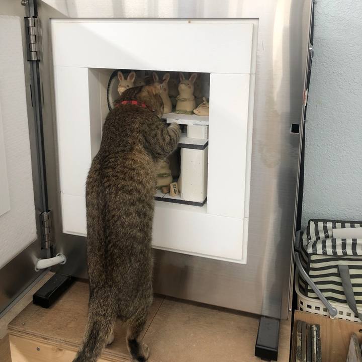 06706b14 55ac 4799 aeac a58b79a63ccf 1670421121969