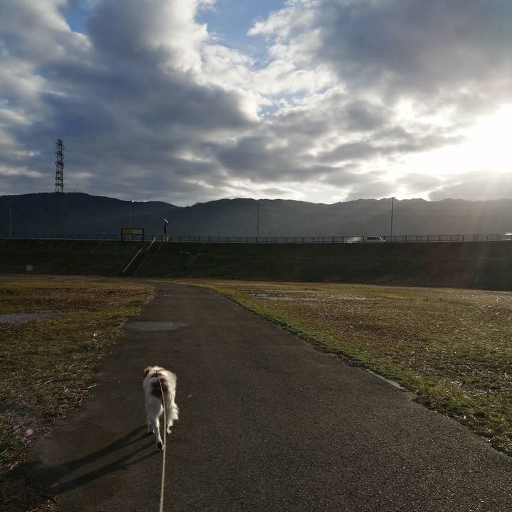 0670893d 94ec 4bc9 b324 8365d3f37d9d 1614730484542