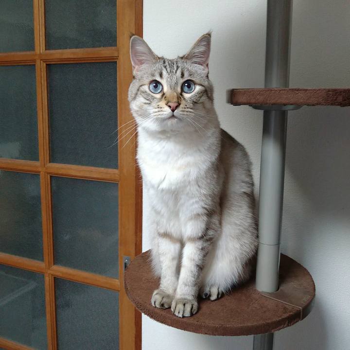 0670ba0b 572f 4251 8705 eebec575b092 1718454853865