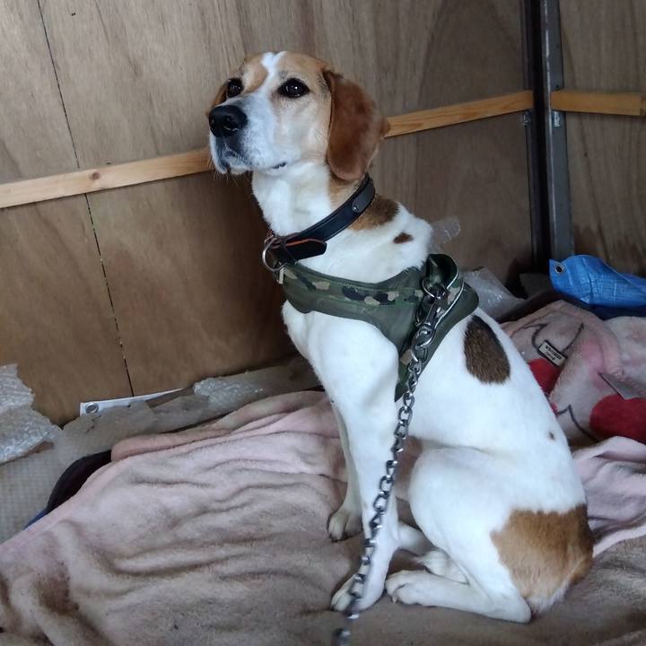 06710217 b64c 4391 8cc2 952ad3f32556 1685437008265