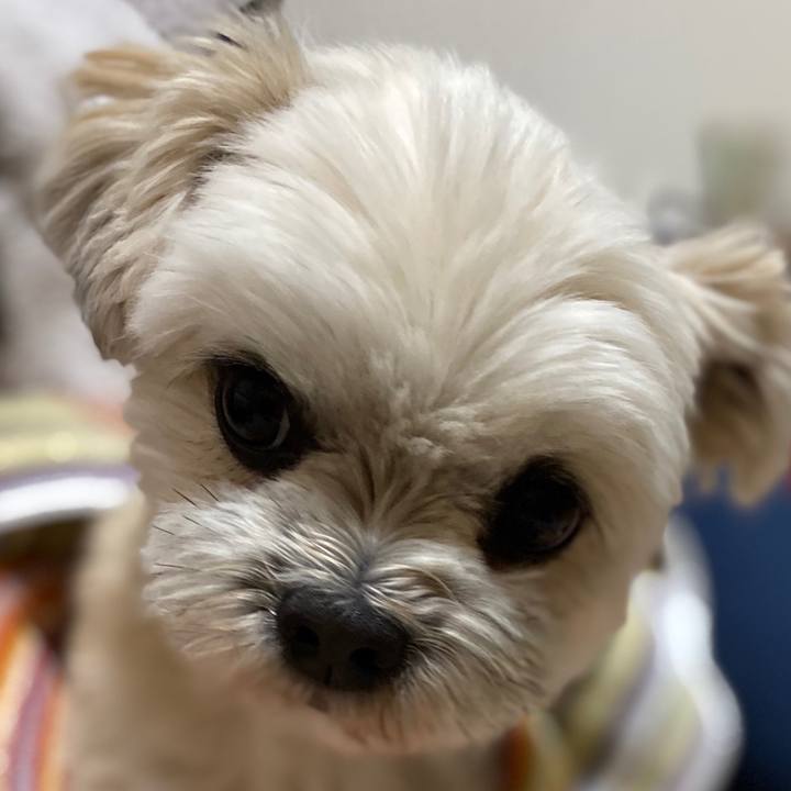 067119b5 0624 4ff9 bd1c bad2f00bc7a3 1582894512242