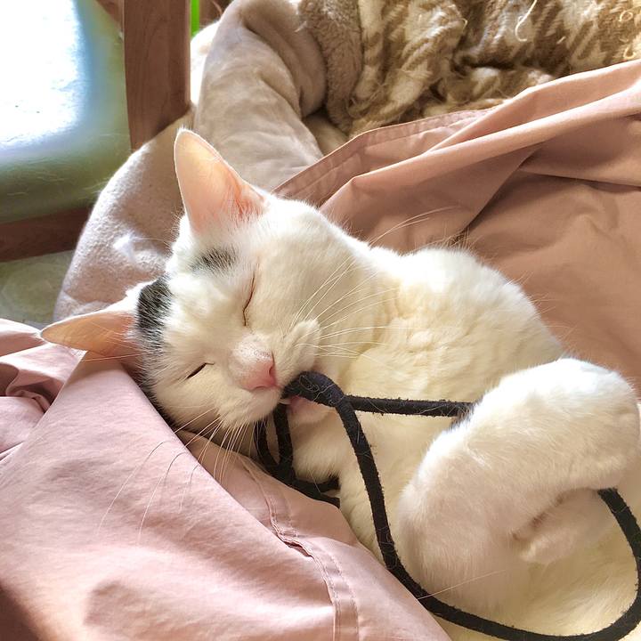 06713144 4085 4067 a605 f835233bad55 1607485152739