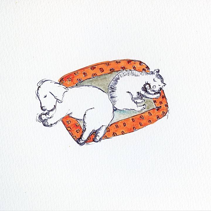 06713749 93ed 484a b896 d4f5b6458f62 1705324164492