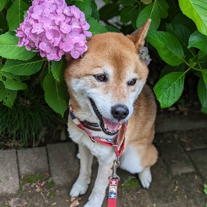 067143f5 d4f6 4afa bf62 111a6903e809 1718030405087