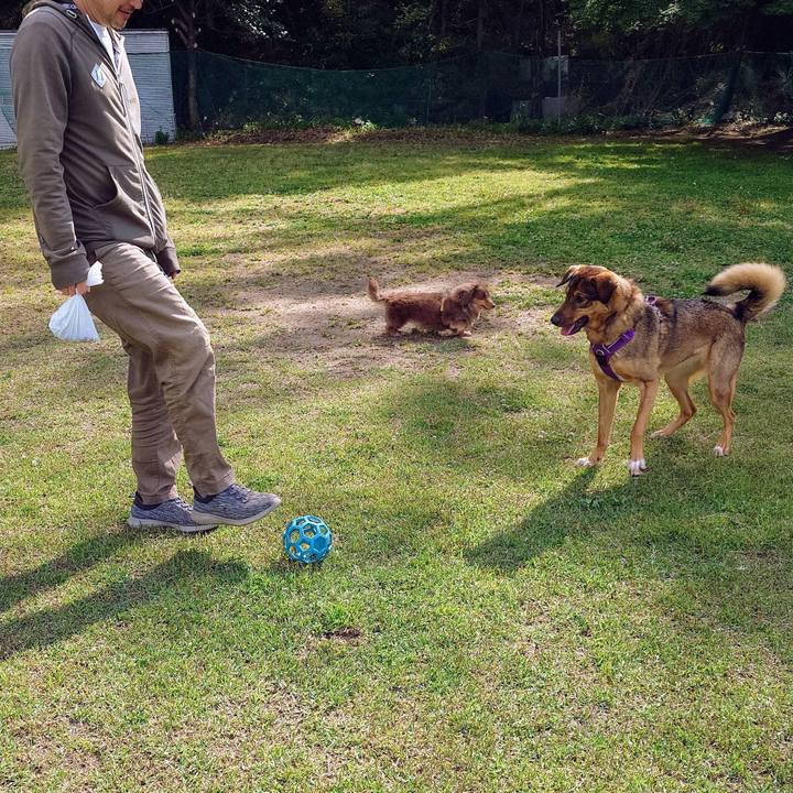 06714c44 5c7a 445f 9177 686b27579665 1746331243055