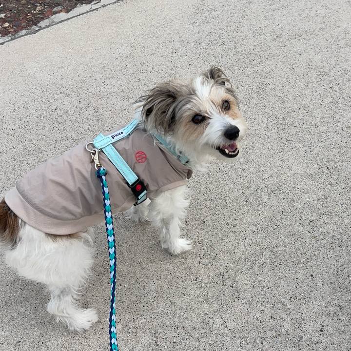 067150ad ac90 432d be98 2394dd3bdb9c 1774174909456