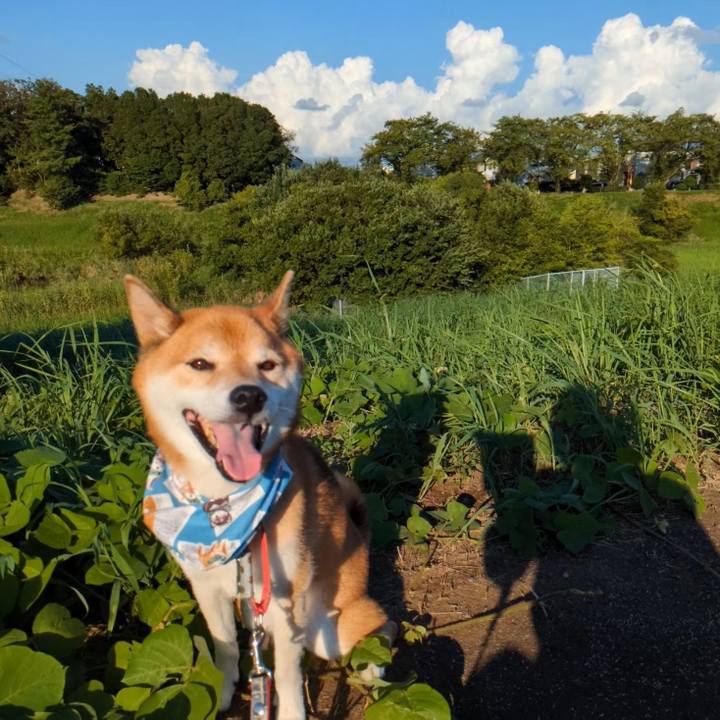 067159e1 3ccc 4ba6 8608 e3d19696b9ea 1724575550342