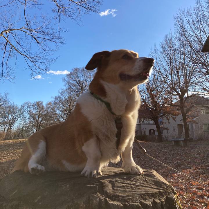 06719e46 b624 4ce6 ae66 b77ea4b2aa14 1737948327572