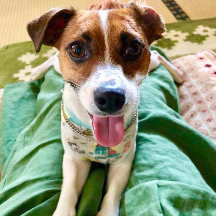 0671e551 b8fb 4129 938a 1f5e2284b560 1564545794522